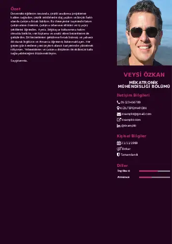 Mekatronik Mühendisliği Cv Örnekleri cv indir